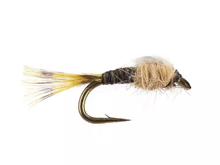 Olive Neanid Serie 03 - Blue Dun