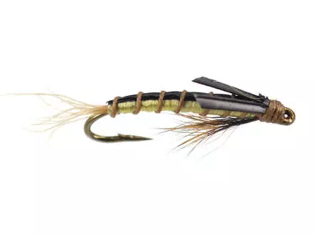 Olive Swimming Nymph - Tan