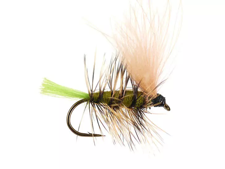 S7 Skating Sedge 01