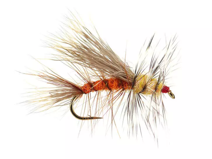 Stimulator Orange Yellow