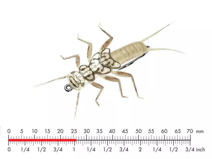 Stonefly Nymph 2 Light Olive 26mm