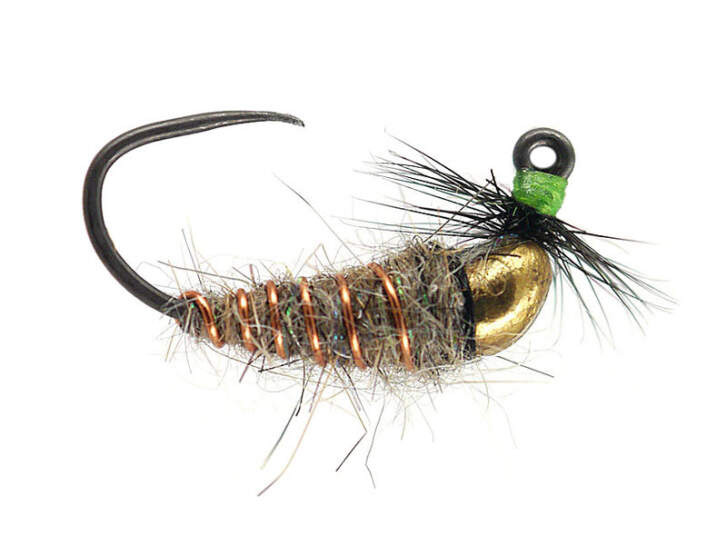 10 Corpi Jig In Tungsteno Per Mosca – Jig Back Per Nymphe – Pêche Truite