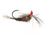 Pheasant Spider Javi TG BL