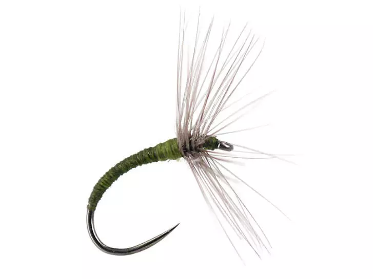 Sakasa Kebari Slim Olive