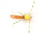 Ugos Large Stonefly SPI