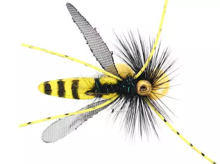 Dangerous Large Wasp SPI