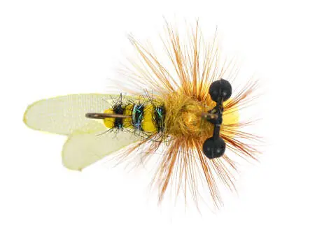 Honey Bee SPI 8 Barbless