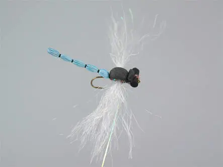 Superb Large Dragonfly Blue