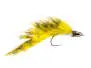 Competition CH Zonker Golden Olive Barred TG 4