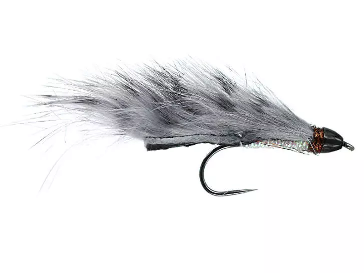 Competition CH Zonker Grey Barred TG