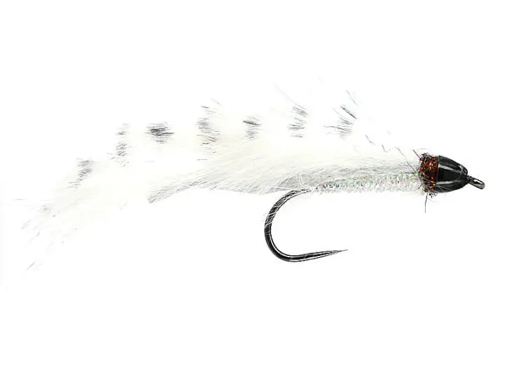 Competition CH Zonker White Barred TG