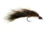 Competition CH Zonker Brown Barred TG