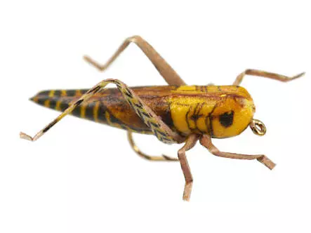 X-true Hopper Yellow Brown