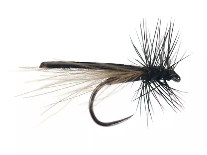 Ales Black Magic Small Stonefly CDC BL