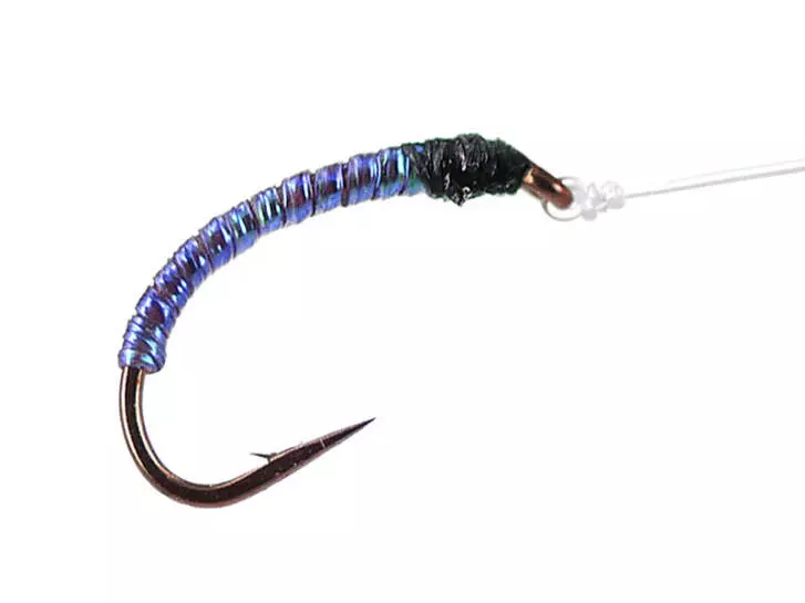 Wonder Chiro Pearl Peacock Blue
