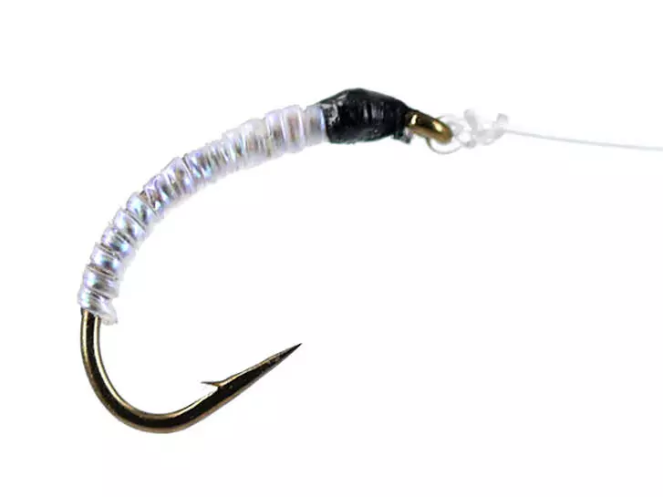 Wonder Chiro Pearl White