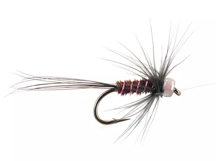 River Pheasant Purple Black Hackled