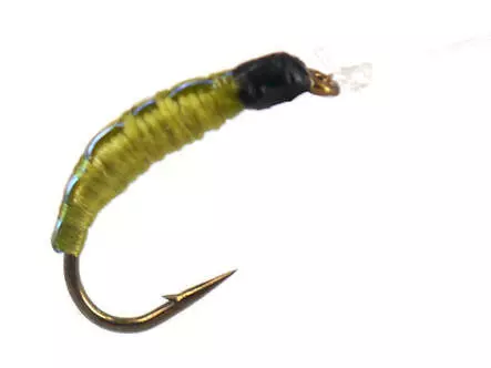 Pearl Back Chiro Olive