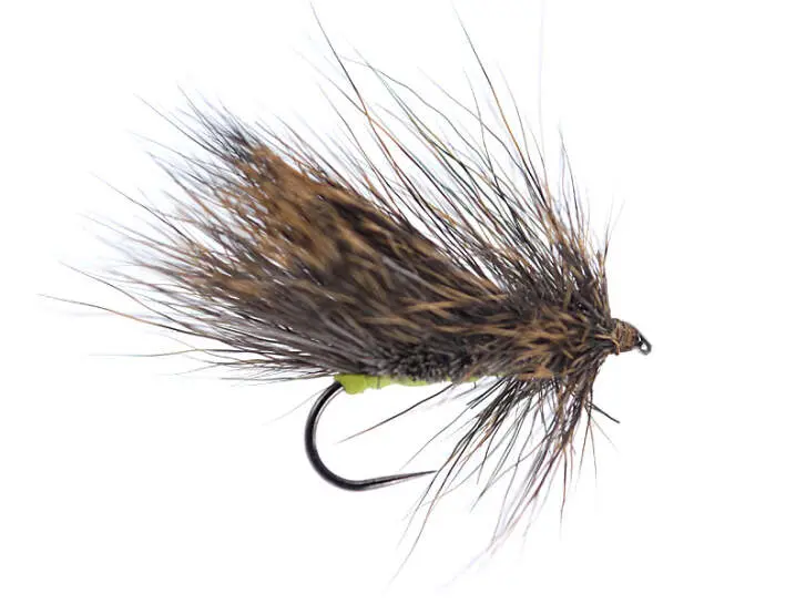 Large Bushy DH Attractor BL