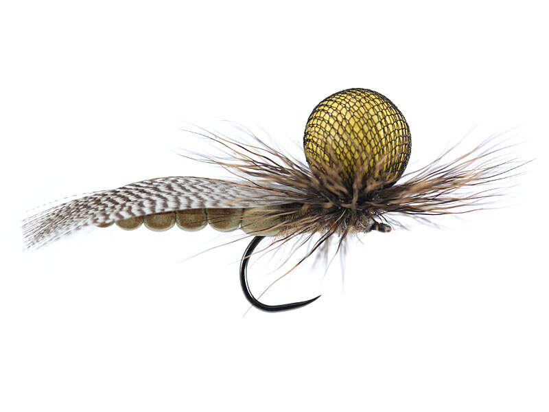 High Viz Foam Cad Stone Stimulator BL searching fly