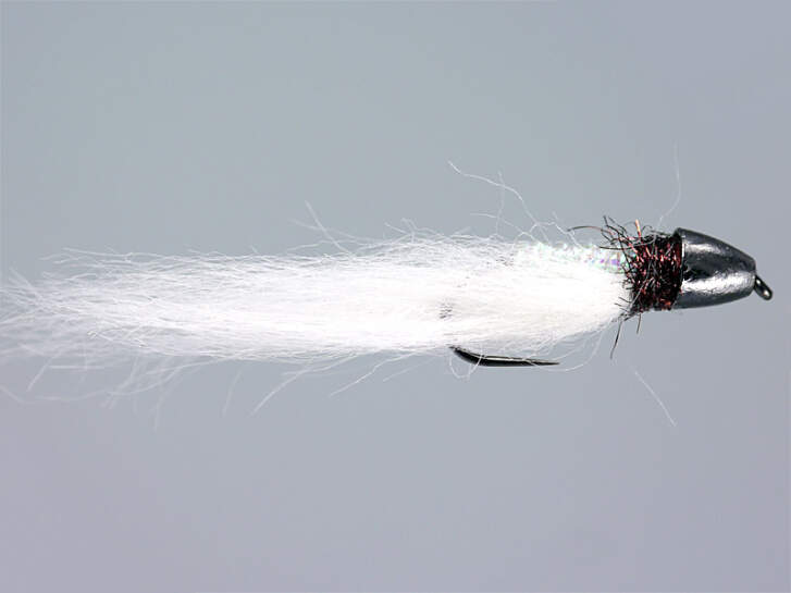 Ales White Trout Warrior CH Ales White Trout Warrior CH