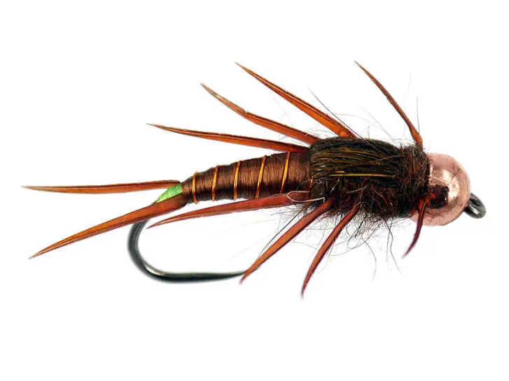 Brown Elite Stonefly Nymph TG BL