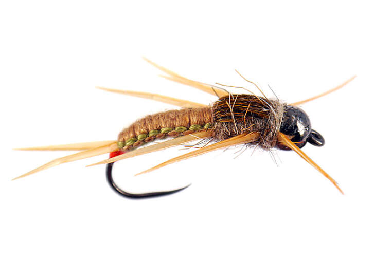 code 019 Woven Stonefly Nymphs & Glass-eyed Damsels  x12 all size 10 