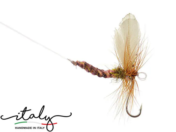 Ephemera Vulgata - 18 mm