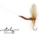 Ephemera Vulgata - 18 mm