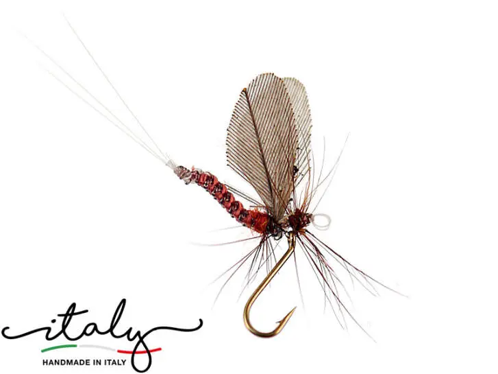 Serratella Ignita - 8 mm