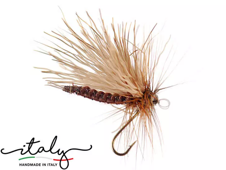 Sedge - 16 mm