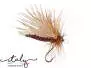Sedge - 16 mm