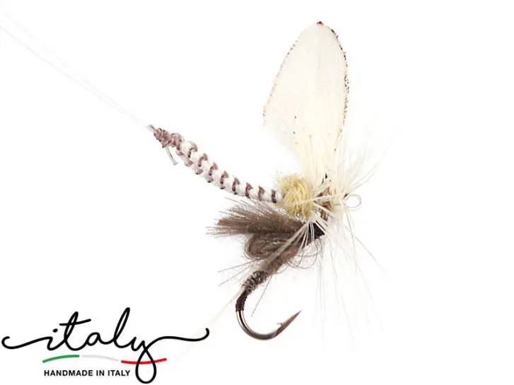 Oligonevriella Rhenana & Emerger - 10 mm