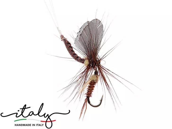 Rhitrogena & Emerger - 12 mm