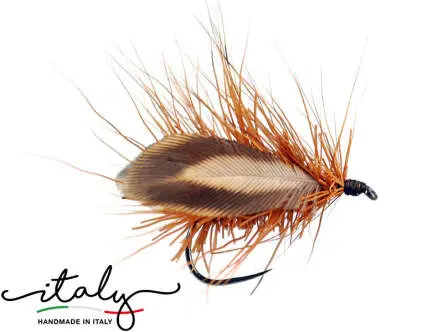 Ryacophila