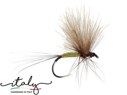 Bwo