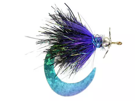 Purple Wiggle Tail Monster