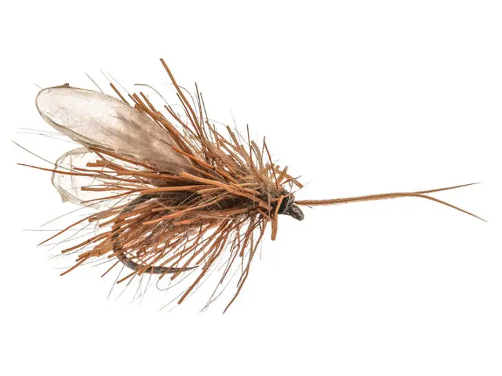 CDC Meets Deer Hair Caddis