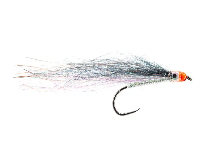 Orange Spotted UV Sheriff Black White BL