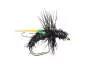 G7 Black Ant 01