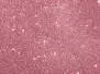 FLY FOAM GLITTER hotfly - 2,0 mm - 2 pc. - pink