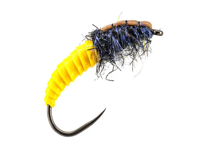 Yellow Giant Wonder Larva BL