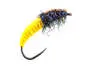 Yellow Giant Wonder Larva BL