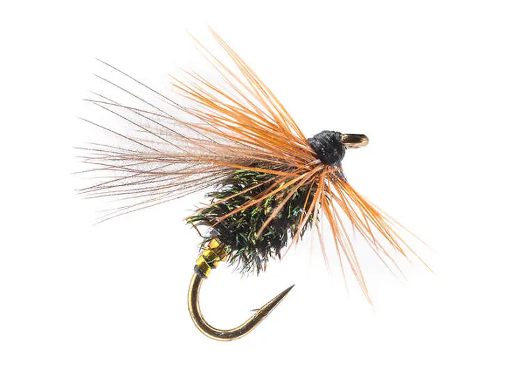 Cock-Y-Bondu CDC 18