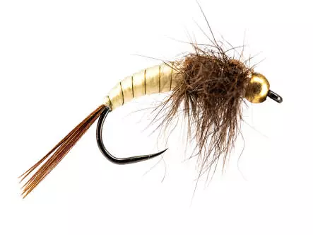 Allis Slovenian Terrorist TG BL