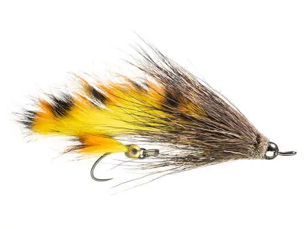 Intruder Warrior Orange Barred