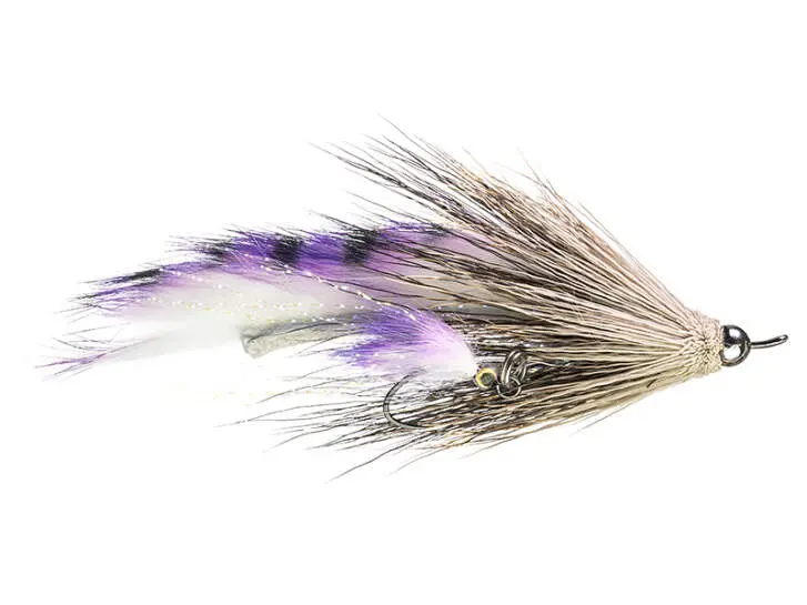 Intruder Warrior Purple Barred