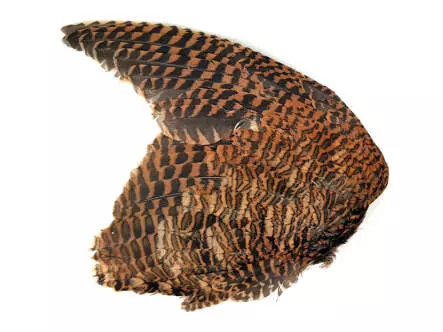 SNIPE WING hotfly