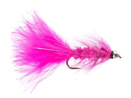 Fluo Pink wooly Bugger