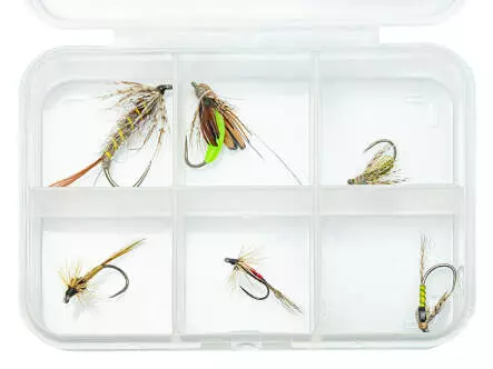 Flies selection hotfly CLASSIC NYMPHS ESSENTIAL LTD - 6...